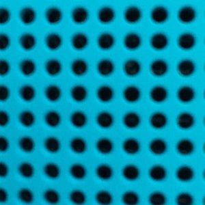 Meet your Posher, Daisy